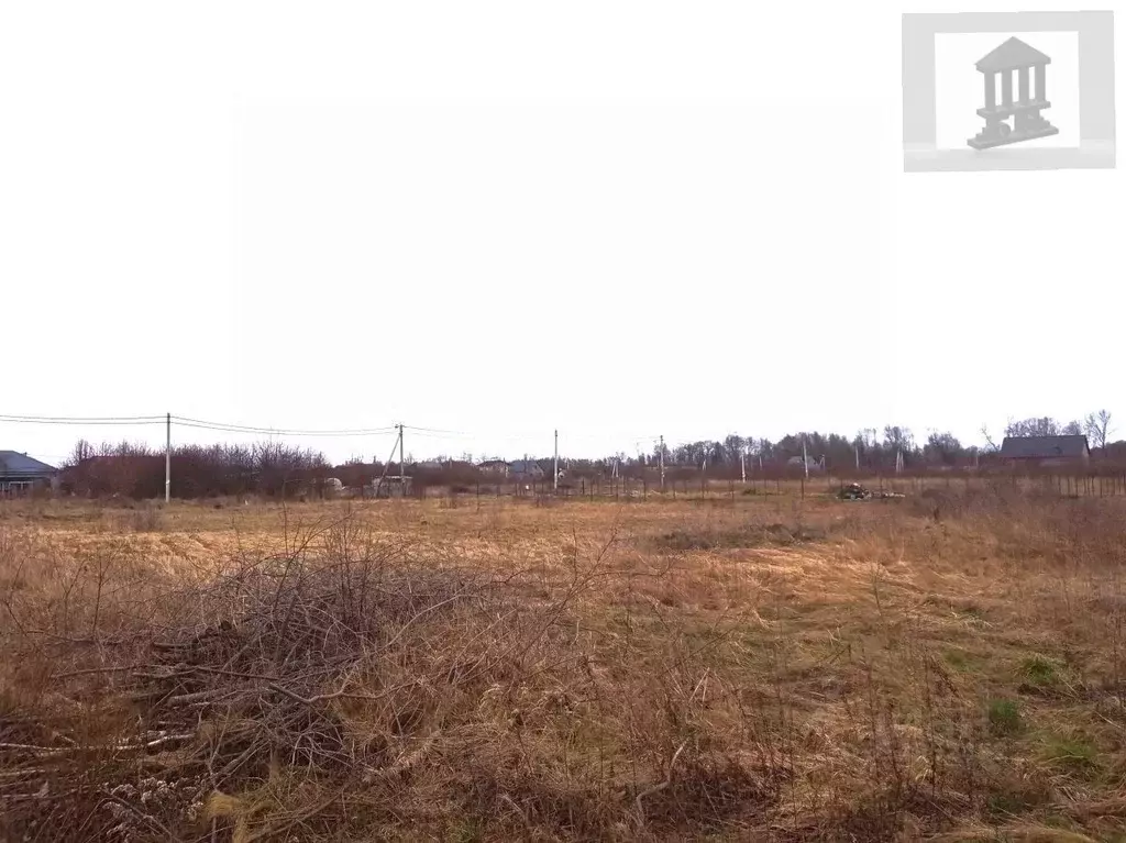 Участок в Калининградская область, Гурьевский муниципальный округ, ... - Фото 1