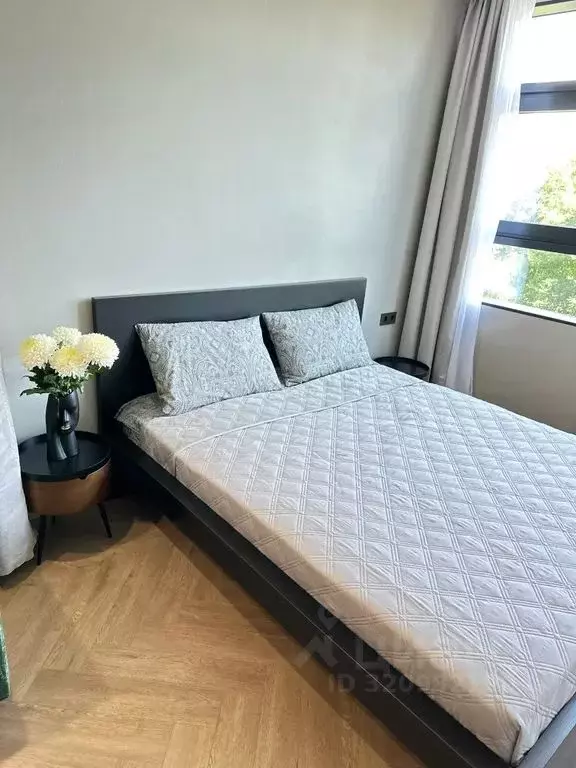 Студия Приморский край, Владивосток Стрелковая ул., 18к1 (31.0 м) - Фото 2