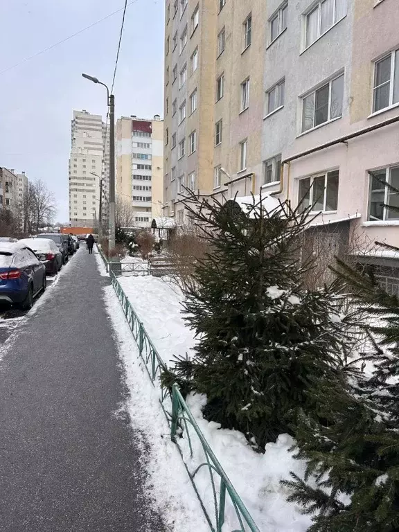 1-к кв. Санкт-Петербург пос. Парголово, ул. Первого Мая, 107к6 (45.0 ... - Фото 1