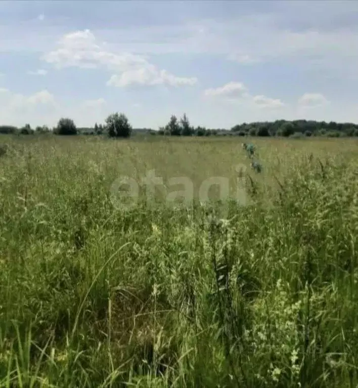 Участок в Томская область, Томский район, с. Корнилово, Зеленая ... - Фото 1