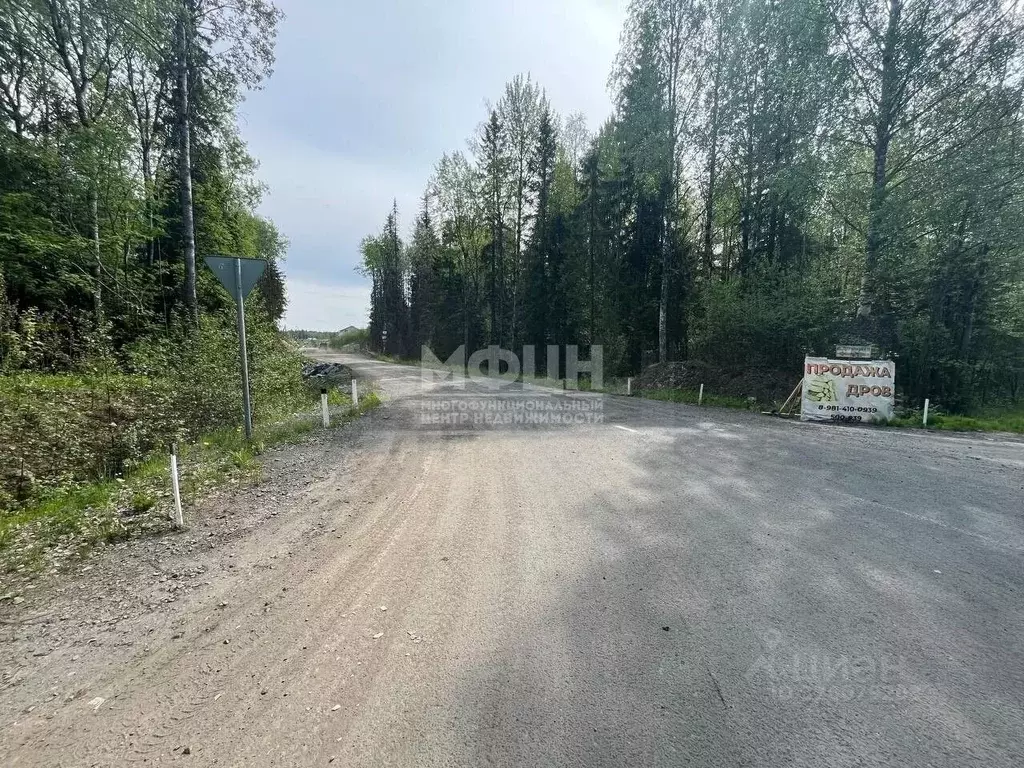 Участок в Карелия, Петрозаводск Древлянка-3 тер., Древлянка-11 мкр,  ... - Фото 1