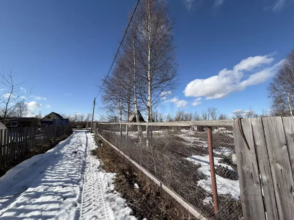 Участок в Архангельская область, Приморский муниципальный округ, Ильма ... - Фото 1