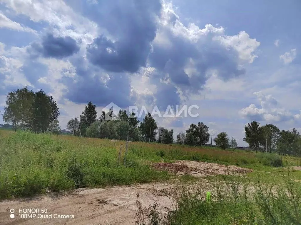 Участок в Владимирская область, Суздальский район, Боголюбовское ... - Фото 1