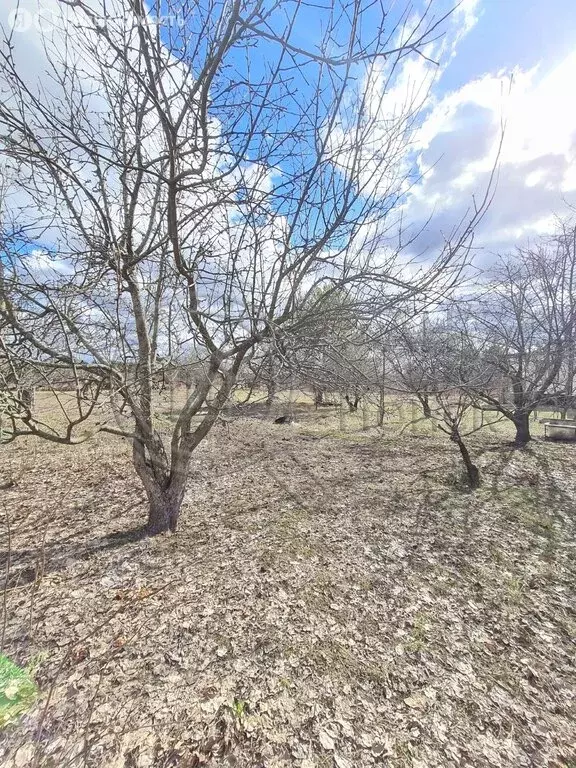 Участок в Курский район, Моковский сельсовет, СНТ Фиалка, 51 (10 м) - Фото 0