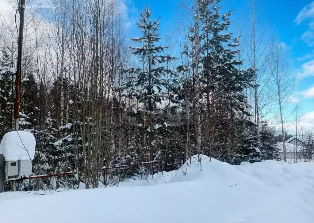 Участок в Пермский край, Краснокамский муниципальный округ, деревня ... - Фото 2