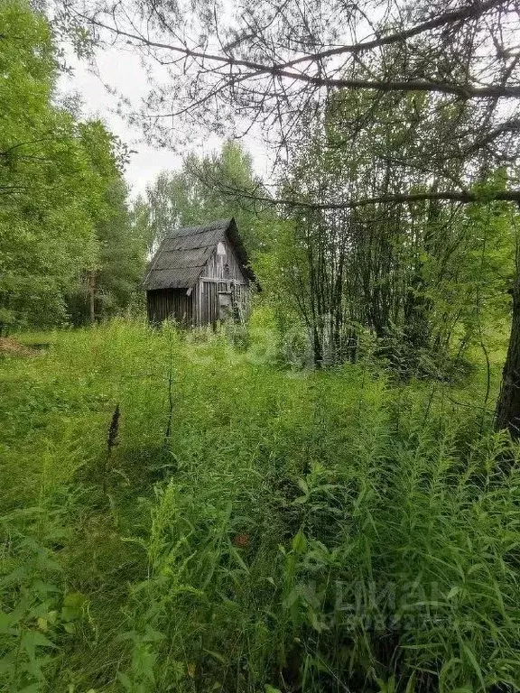 Участок в Кировская область, Кирово-Чепецкий район, Федяковское с/пос, ... - Фото 0