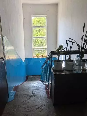 2-к. квартира, 50 м, 3/3 эт. - Фото 0