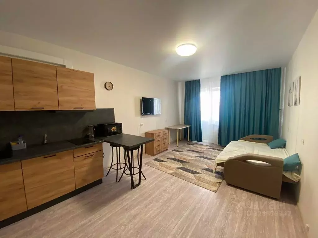 Студия Ростовская область, Ростов-на-Дону ул. Висаитова, 6/10 (27.6 м) - Фото 1