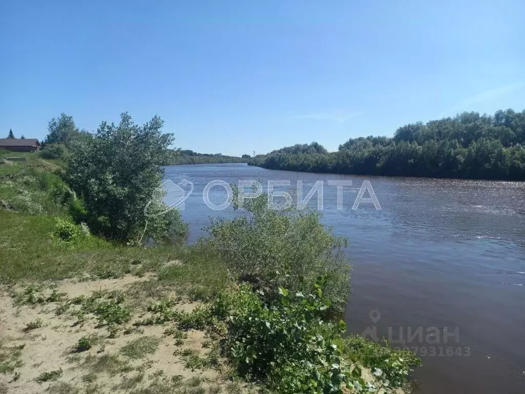 Участок в Тюменская область, Тюменский район, с. Борки Цветочная ул. ... - Фото 0