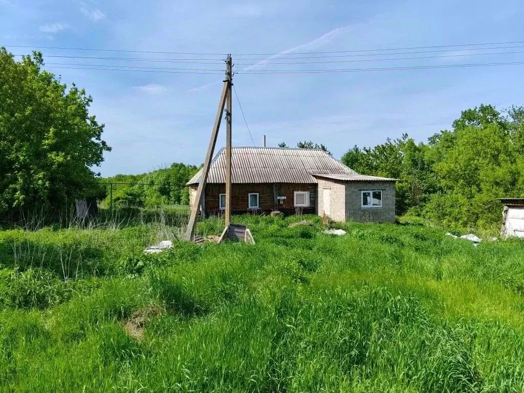 Дом в Курская область, Черемисиновский район, Ниженский сельсовет, д. ... - Фото 1