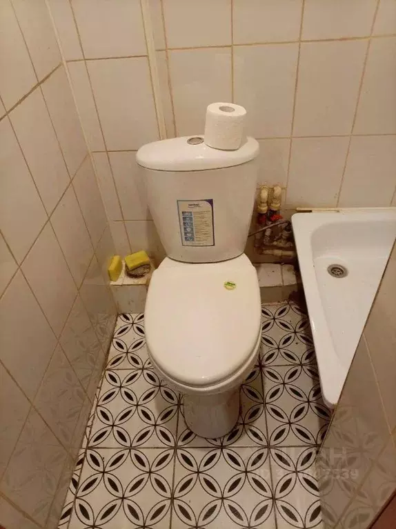 Студия Алтайский край, Бийск Ударная ул., 73А (12.0 м) - Фото 1