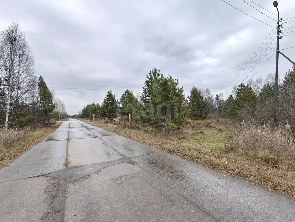 Участок в Тюменская область, Нижнетавдинский муниципальный округ, д. ... - Фото 1