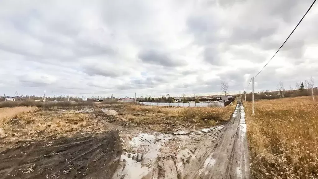 Участок в Тюменская область, Тюмень Поле Чудес садовое товарищество, ... - Фото 1