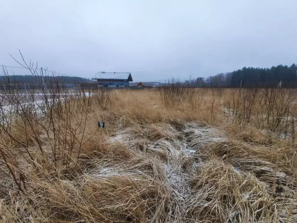 Участок в Московская область, Ступино городской округ, с. Колычево ул. ... - Фото 0