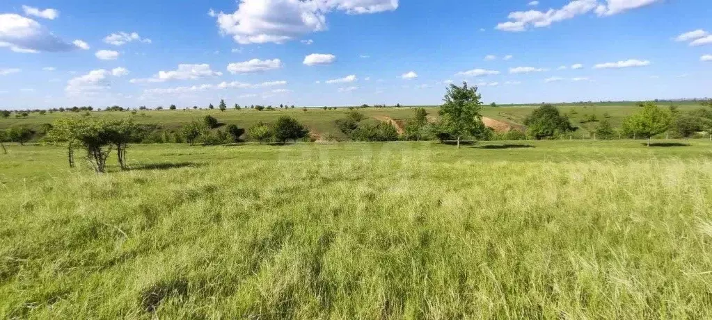 Участок в Воронежская область, Рамонский район, с. Русская Гвоздевка  ... - Фото 1
