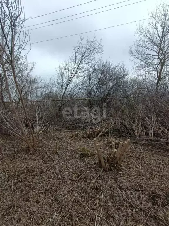 Участок в Белгородская область, Губкинский городской округ, с. ... - Фото 1