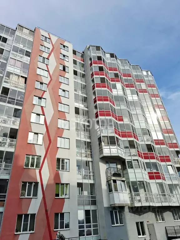Студия Ленинградская область, Всеволожский район, пос. Бугры ул. ... - Фото 0