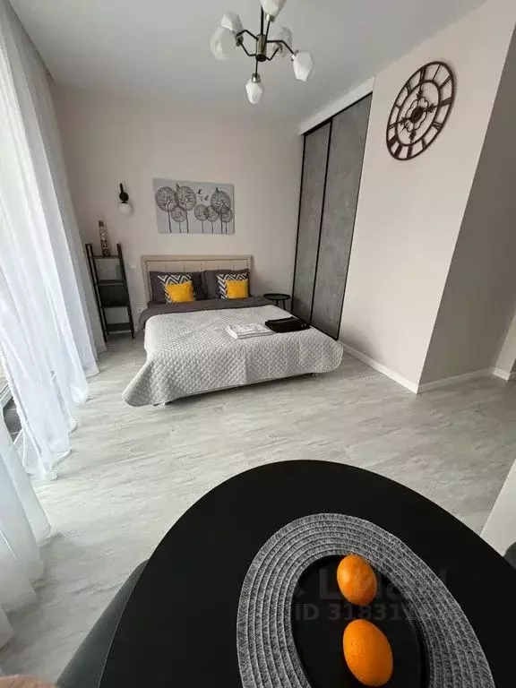 Студия Санкт-Петербург ул. Типанова, 22 (25.0 м) - Фото 0