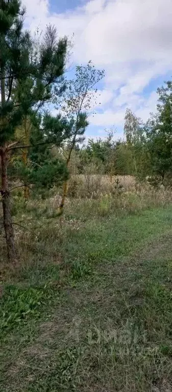 Участок в Воронежская область, Новоусманский район, с. Бабяково ул. ... - Фото 1