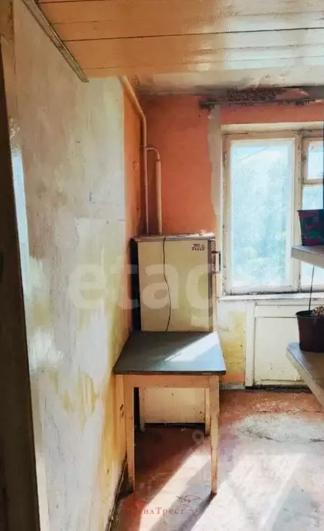 2-к кв. Белгородская область, Белгород ул. Щорса, 37 (45.5 м) - Фото 2