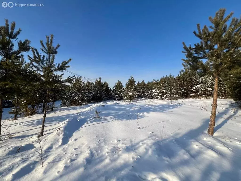 Участок в село Максимовщина, Таёжная улица, 40 (11 м) - Фото 1