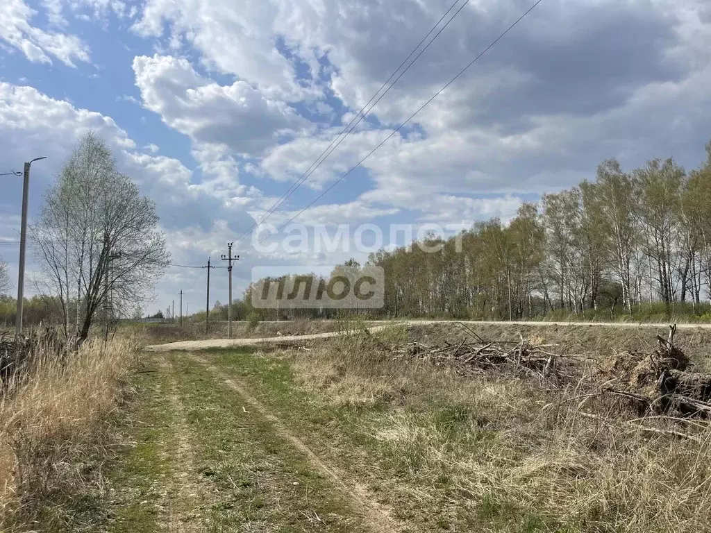 Участок в Тульская область, Тула городской округ, с. Алешня ул. ... - Фото 1