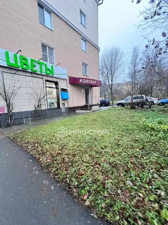 Офис в Орловская область, Орел Октябрьская ул., 31 (31 м) - Фото 1