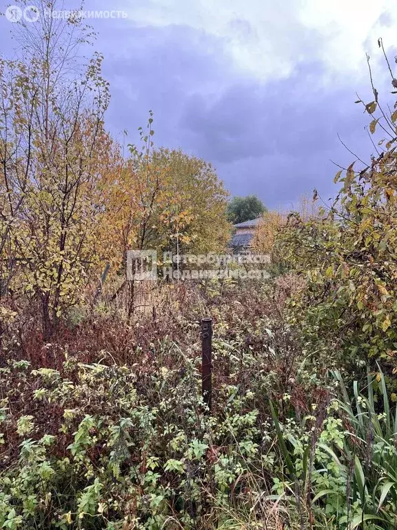 Участок в Санкт-Петербург, садоводство Красный Треугольник, ... - Фото 1