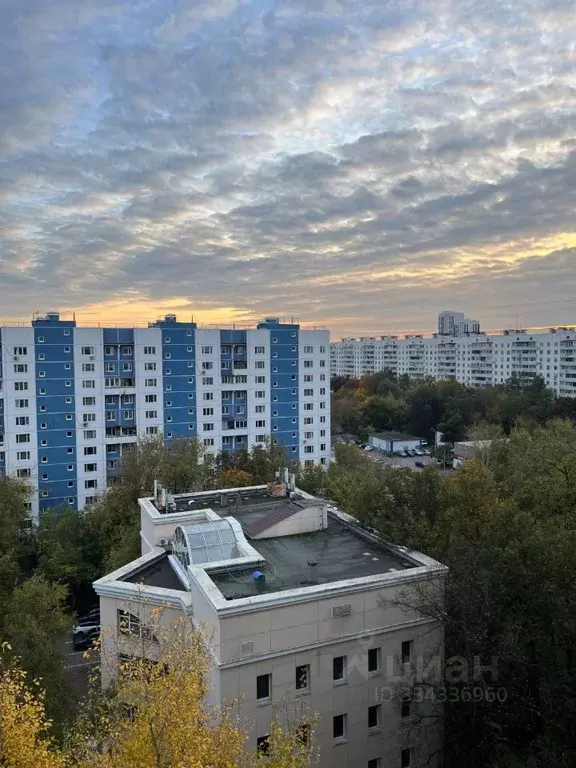 1-к кв. Москва ул. Проходчиков, 16 (38.5 м) - Фото 1
