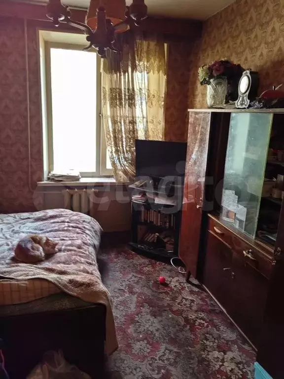 3-к. квартира, 54 м, 2/5 эт. - Фото 1