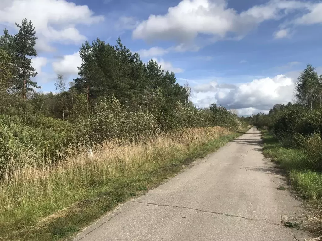 Участок в Псковская область, Палкинская волость, д. Флорево  (410.0 ... - Фото 1