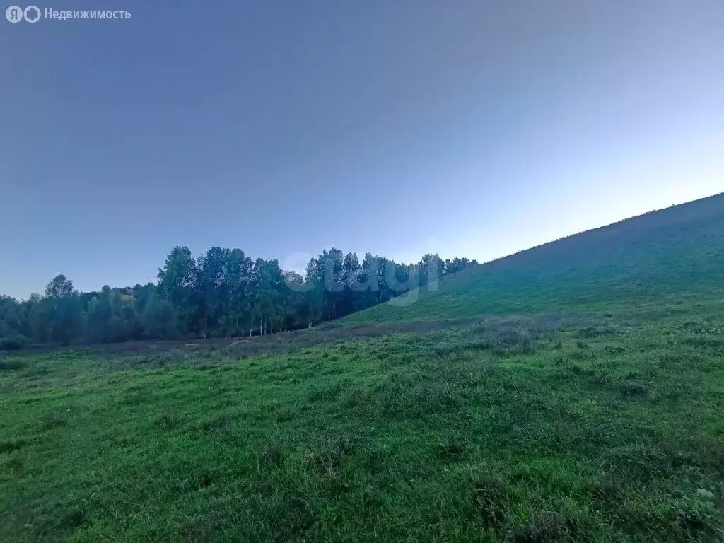 Участок в Алтайский район, Айский сельсовет, село Ая (23 м) - Фото 1
