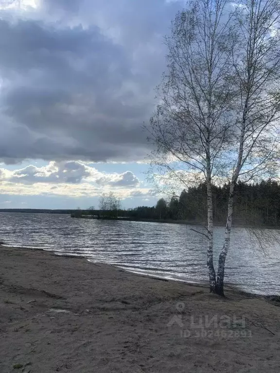 Участок в Московская область, Можайский городской округ, Собственников ... - Фото 0