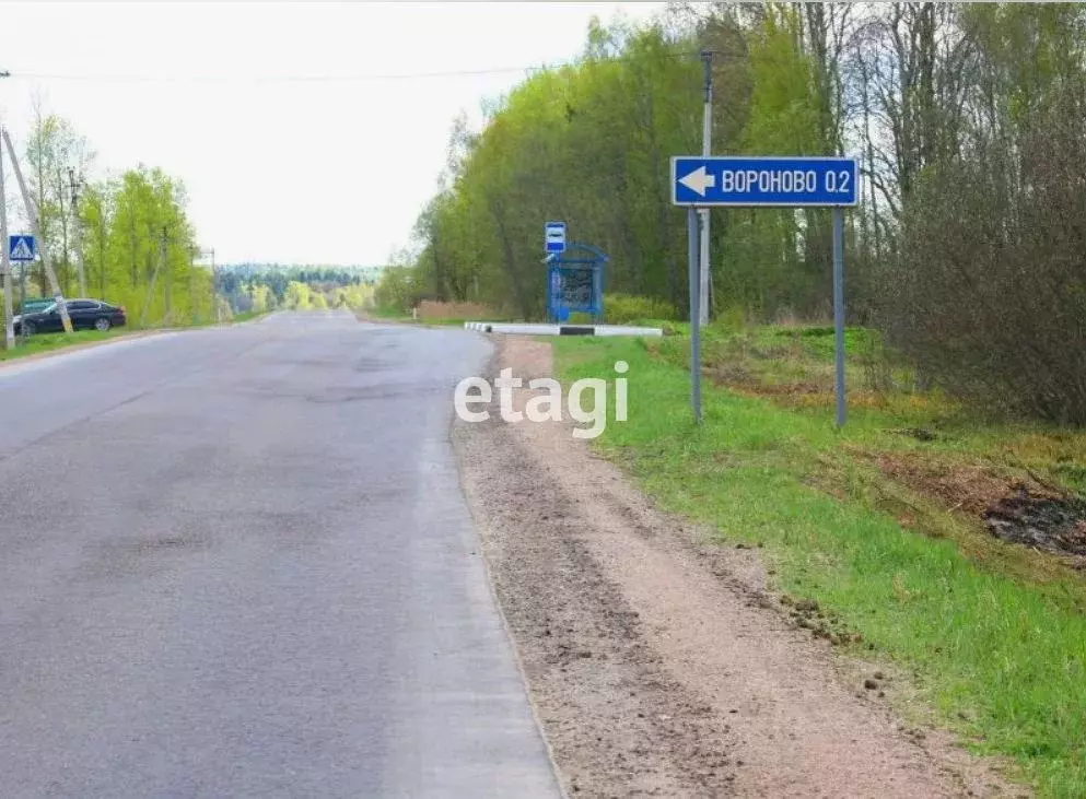 Участок в Владимирская область, Покров городской округ, д. Вороново  ... - Фото 2