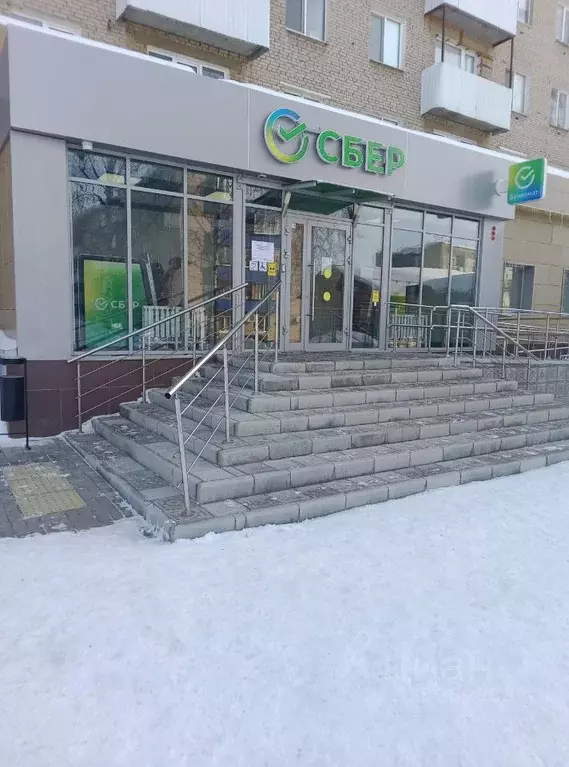 Помещение свободного назначения в Татарстан, Менделеевск ул. ... - Фото 1