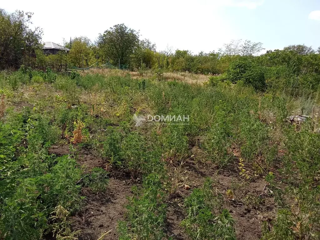 Участок в Ростовская область, Новочеркасск Айвовая ул. (6.0 сот.) - Фото 1