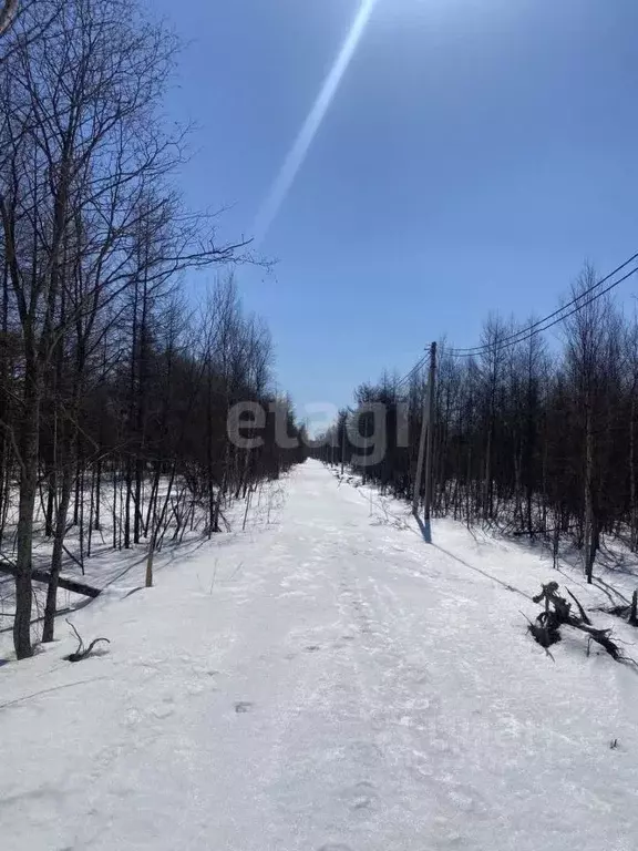 Участок в Сахалинская область, Южно-Сахалинск Здоровье СНТ,  (9.5 ... - Фото 2