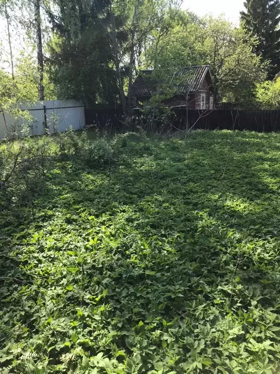 Дом в Московская область, Наро-Фоминский городской округ, Ивушка ... - Фото 1