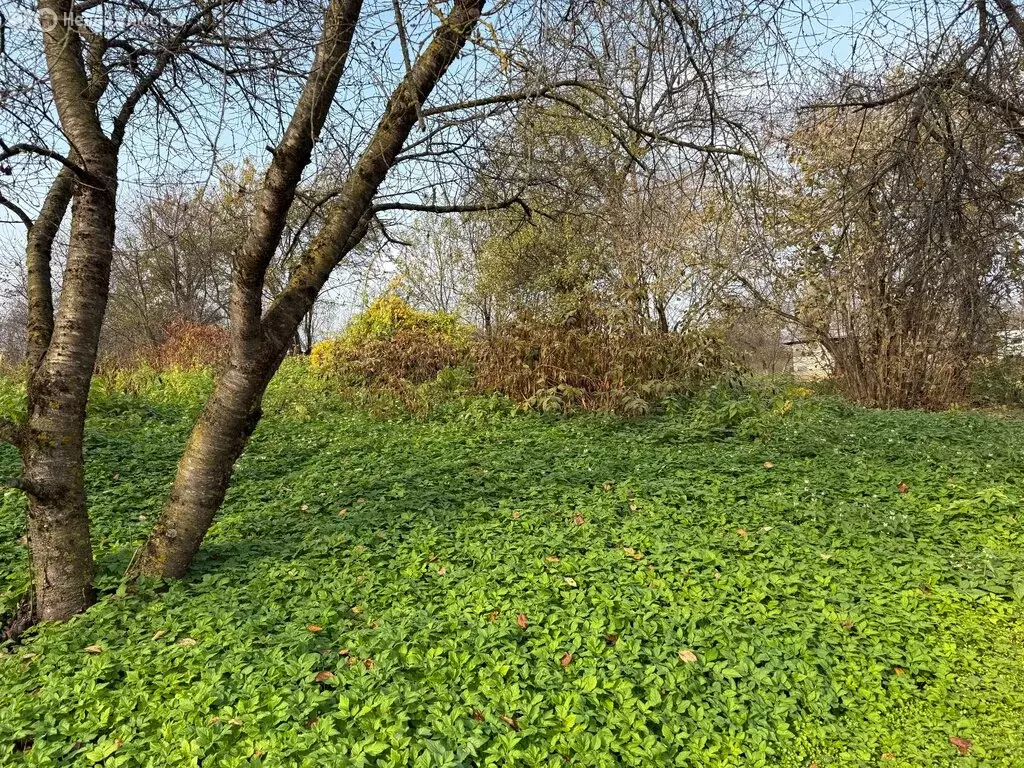 Участок в село Црау, улица Кирова (20 м) - Фото 1