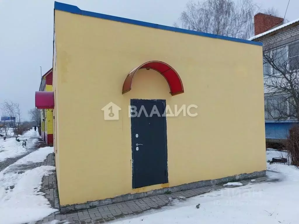 Помещение свободного назначения в Брянская область, Брянский район, с. ... - Фото 0