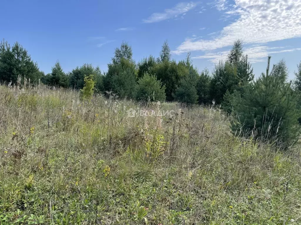 Участок в Владимирская область, Владимир с. Мосино, ул. Березная ... - Фото 0