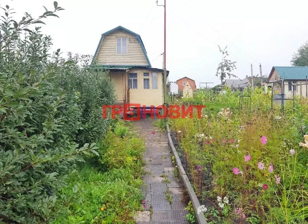 Участок в Новосибирская область, Коченевский район, Сибсельмаш садовое ... - Фото 0