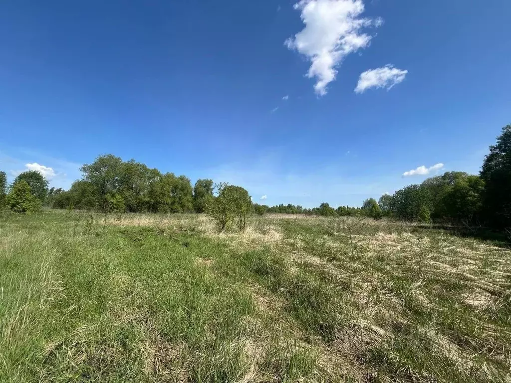 Участок в Московская область, Коломна городской округ, д. Жиливо  ... - Фото 1