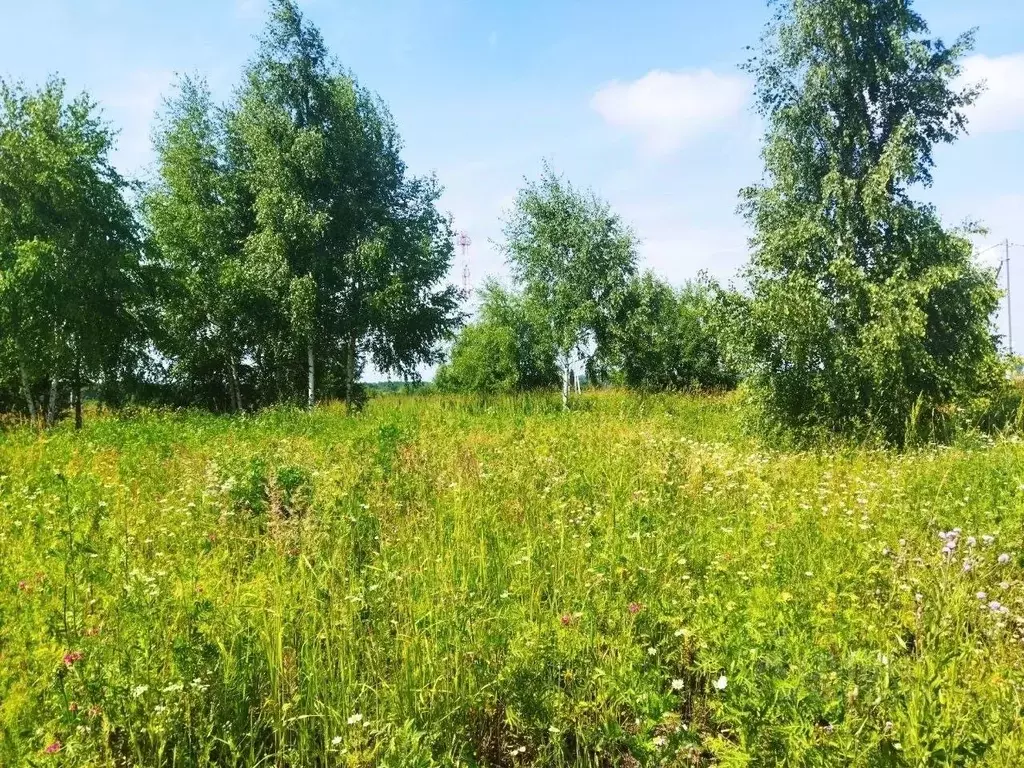 Участок в Тульская область, Ясногорский район, Иваньковское с/пос, д. ... - Фото 2