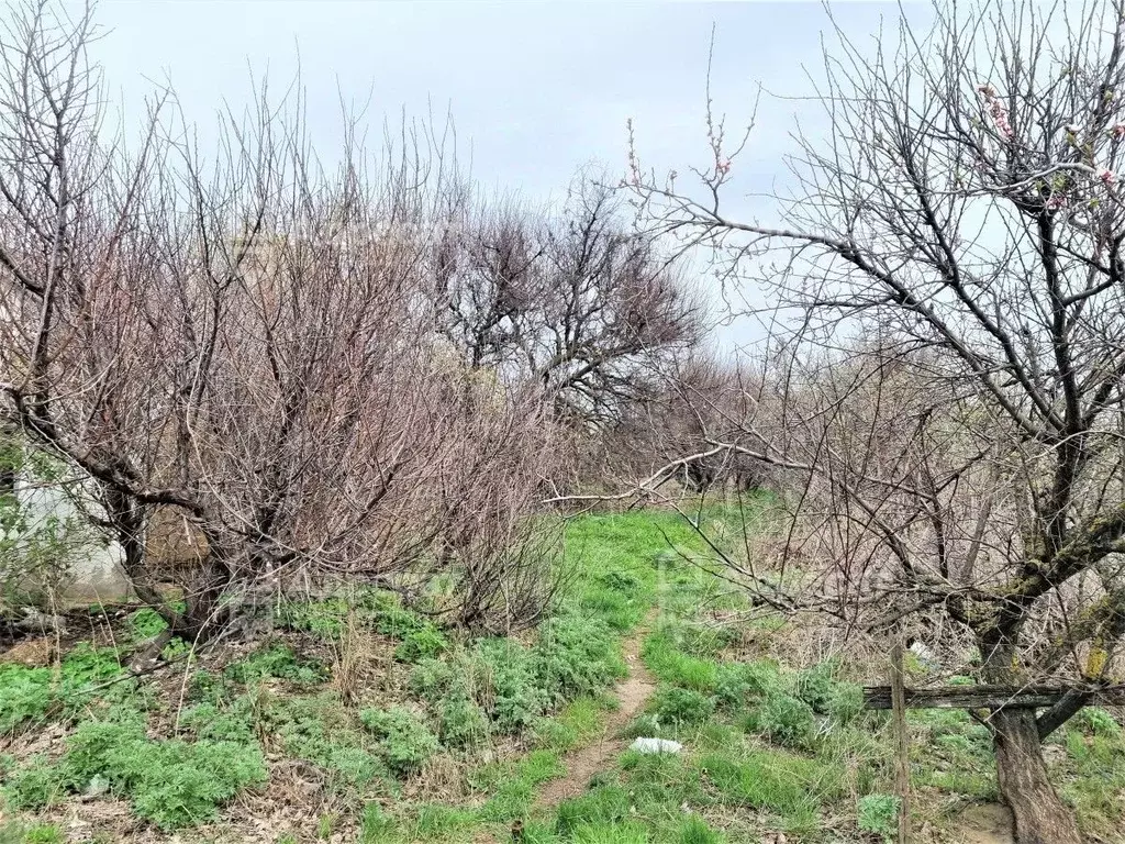 Участок в Волгоградская область, Волгоград Металлург СНТ,  (5.5 сот.) - Фото 0