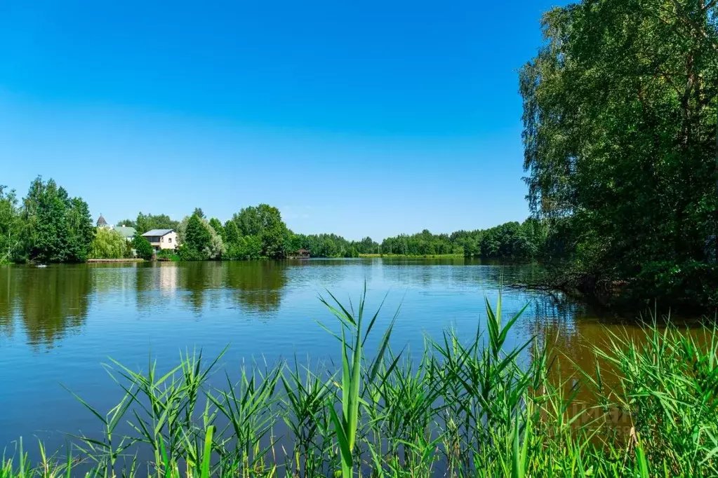 Участок в Московская область, Богородский городской округ, д. Мишуково ... - Фото 1