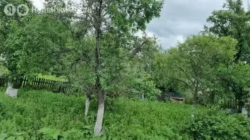 Дом в село Васильевка, улица Оренбургский Тракт (33 м) - Фото 1