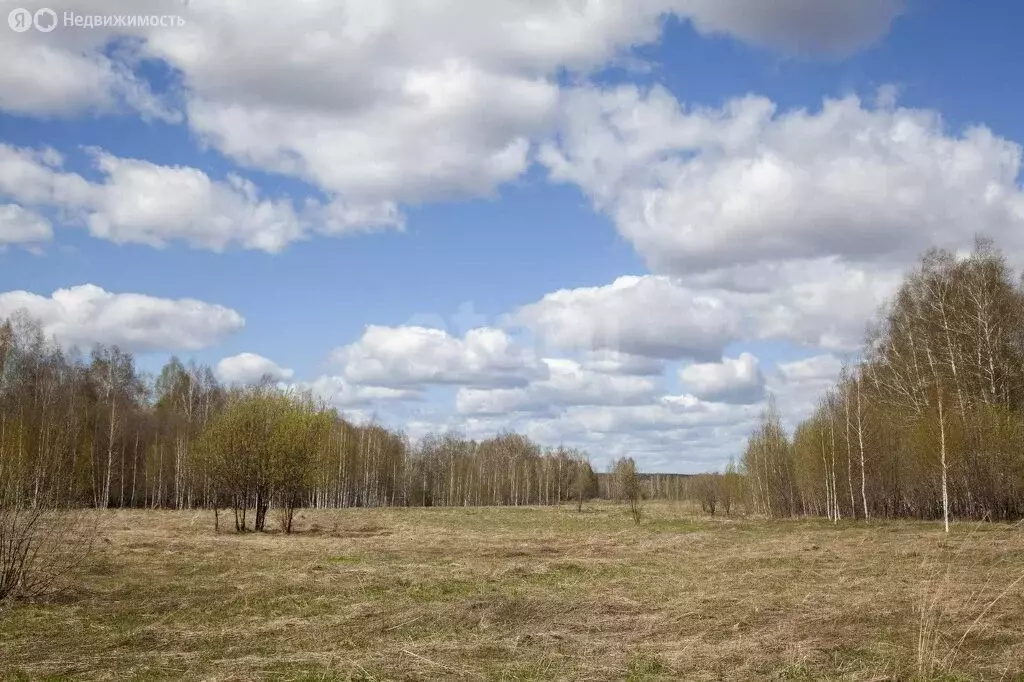 Участок в Мошковский район, село Сокур (2010 м) - Фото 1