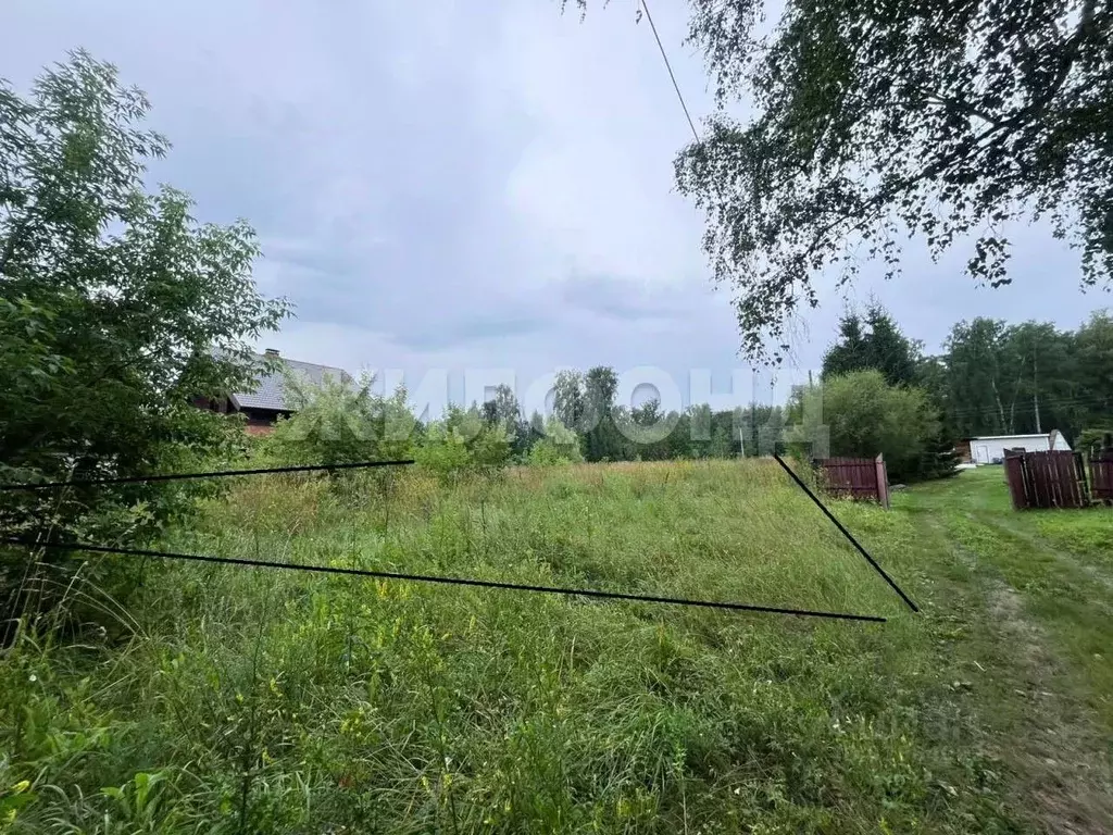 Участок в Новосибирская область, Новосибирский район, с. Боровое ул. ... - Фото 2