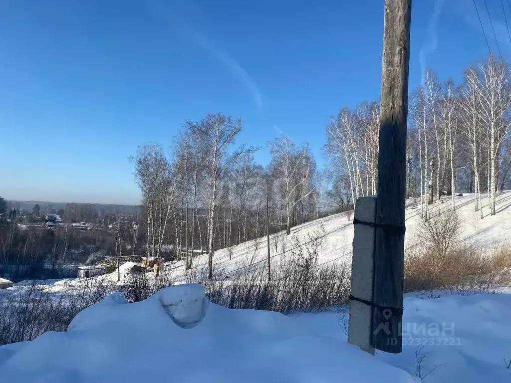 Участок в Новосибирская область, Новосибирский район, Барышевский ... - Фото 2